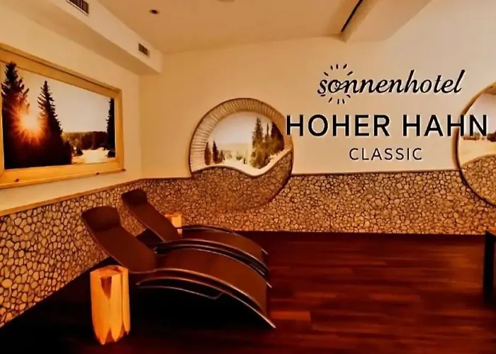 Apartamento Bergwiese I Balkon I Aufzug I Stellplatz Schwarzenberg (Saxony)